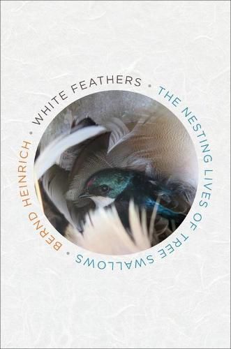 Cover image for White Feathers: The Nesting Lives of Tree Swallows