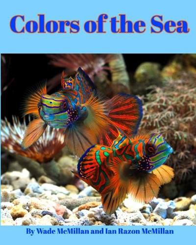 Cover image for Colors of the Sea