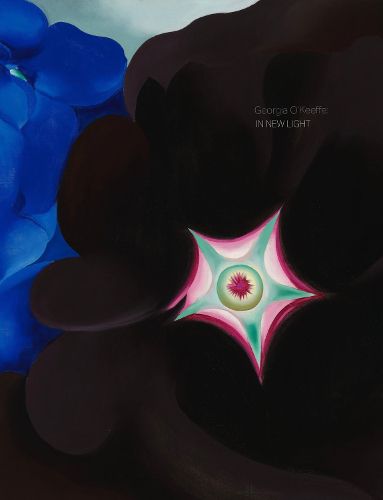 Cover image for Georgia O'Keeffe: In New Light
