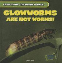 Cover image for Glowworms Are Not Worms!