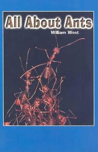 Cover image for All about Ants