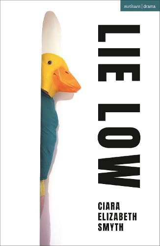 Cover image for Lie Low