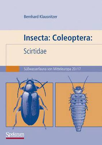 Cover image for Insecta: Coleoptera: Scirtidae: Susswasserfauna Von Mitteleuropa. Bd. 20/17