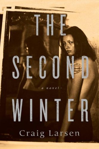 Cover image for The Second Winter