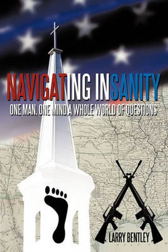 Cover image for Navigating Insanity