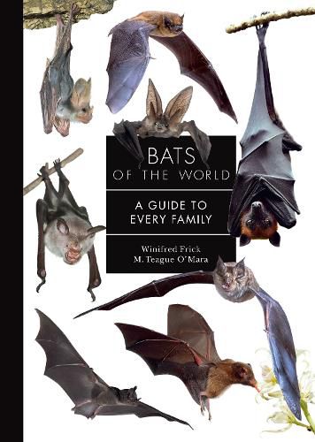 Cover image for Bats of the World