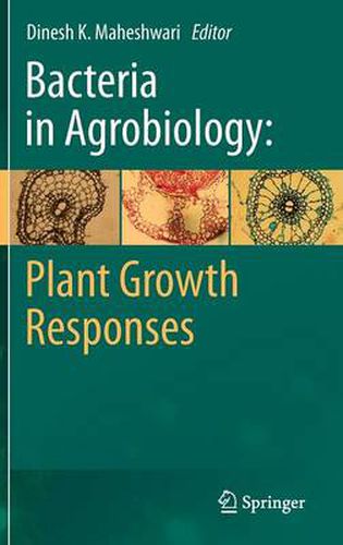 Cover image for Bacteria in Agrobiology: Plant Growth Responses