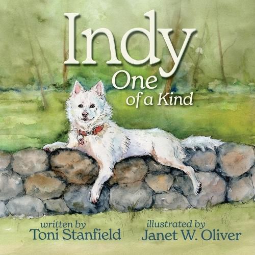 Cover image for Indy, One of a Kind