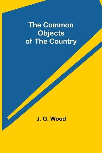 Cover image for The Common Objects of the Country