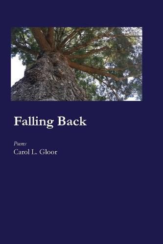 Cover image for Falling Back