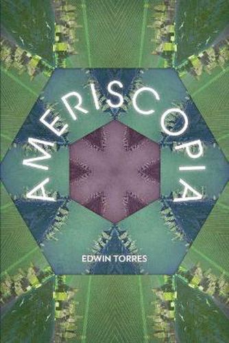 Cover image for Ameriscopia