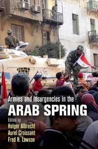 Cover image for Armies and Insurgencies in the Arab Spring