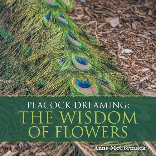 Cover image for Peacock Dreaming: The Wisdom of Flowers