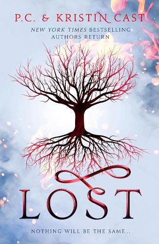 Cover image for Lost