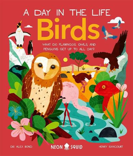 Cover image for Birds (A Day in the Life)