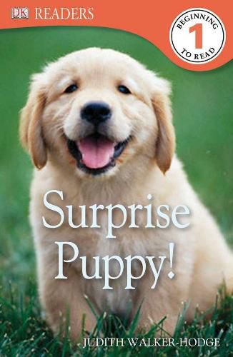 Cover image for DK Readers L1: Surprise Puppy