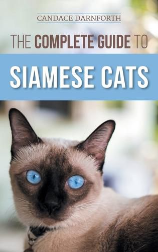 Cover image for The Complete Guide to Siamese Cats