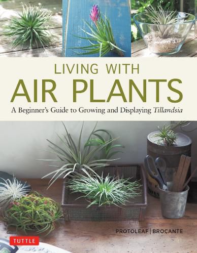 Cover image for Living with Air Plants