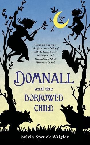 Cover image for Domnall and the Borrowed Child