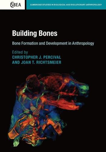 Cover image for Building Bones: Bone Formation and Development in Anthropology