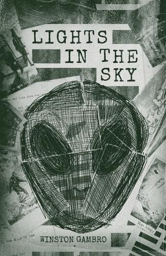 Cover image for Lights in the Sky