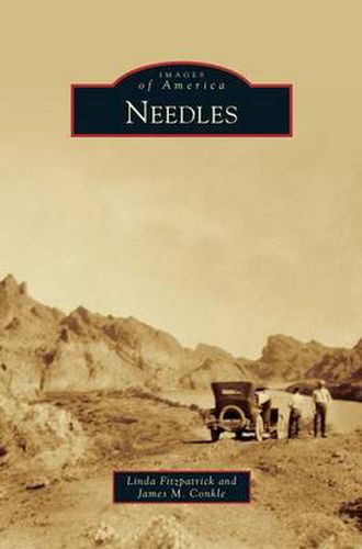 Cover image for Needles