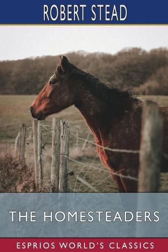 Cover image for The Homesteaders (Esprios Classics)