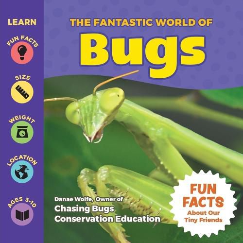 Cover image for The Fantastic World of Bugs