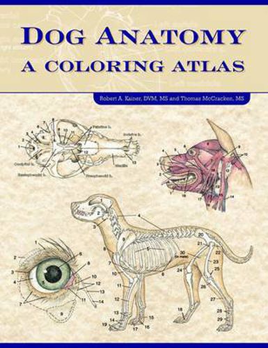 Cover image for Dog Anatomy: A Coloring Atlas