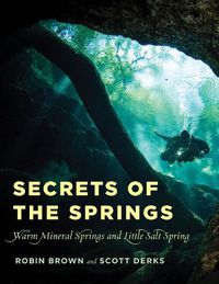 Cover image for Secrets of the Springs: Warm Mineral Springs and Little Salt Spring