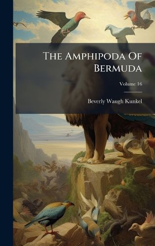 Cover image for The Amphipoda Of Bermuda
