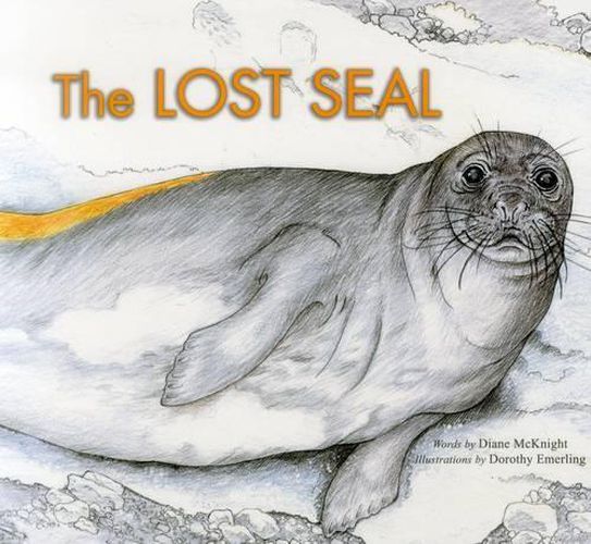 Cover image for The Lost Seal