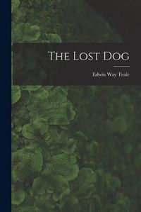 Cover image for The Lost Dog