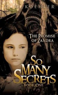 Cover image for So Many Secrets