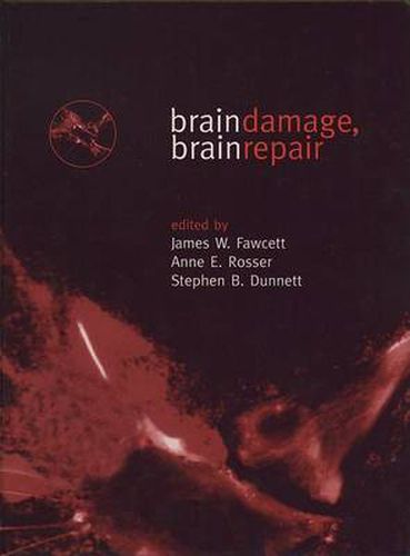 Cover image for Brain Damage, Brain Repair