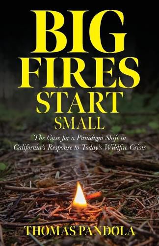 Cover image for Big Fires Start Small