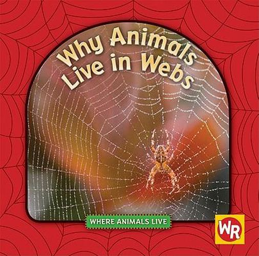 Why Animals Live in Webs