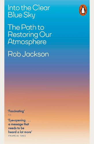 Cover image for Into the Clear Blue Sky