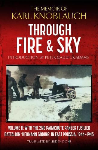 Cover image for Through Fire and Sky
