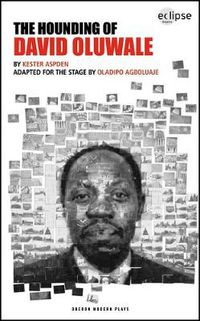 Cover image for The Hounding of David Oluwale