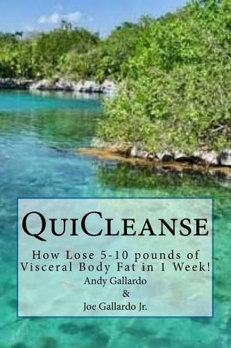 Cover image for QuiCleanse: How Lose 5-10 pounds of Visceral Body Fat in 1 Week!