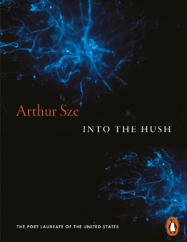 Cover image for Into the Hush