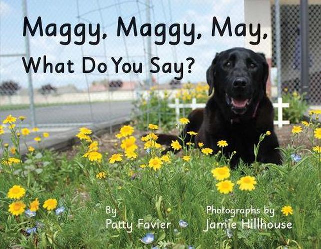 Cover image for Maggy, Maggy, May, What Do You Say?