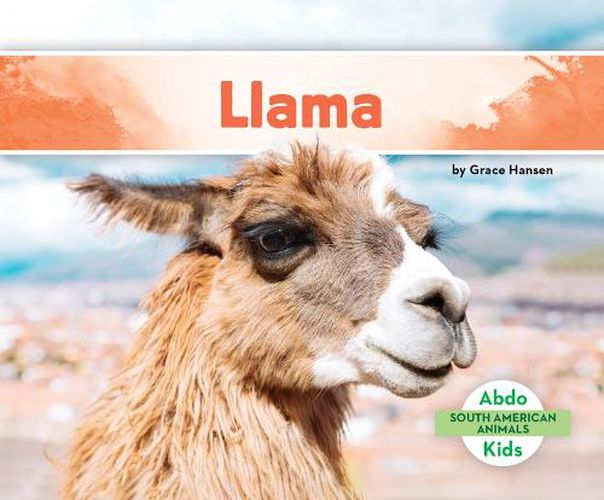 Cover image for Llama