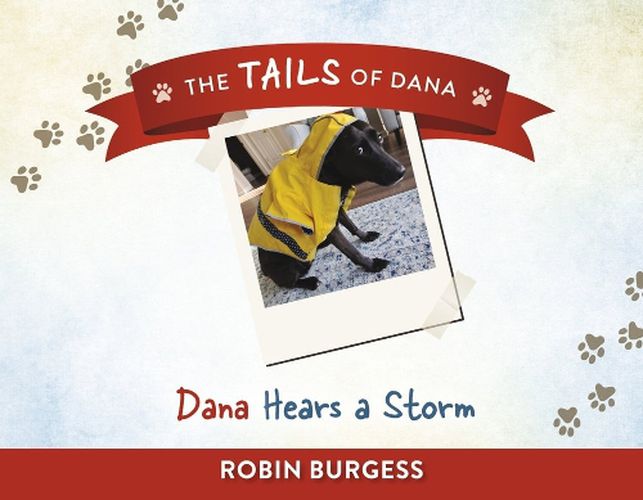 Cover image for Dana Hears a Storm