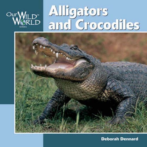 Cover image for Alligators and Crocodiles