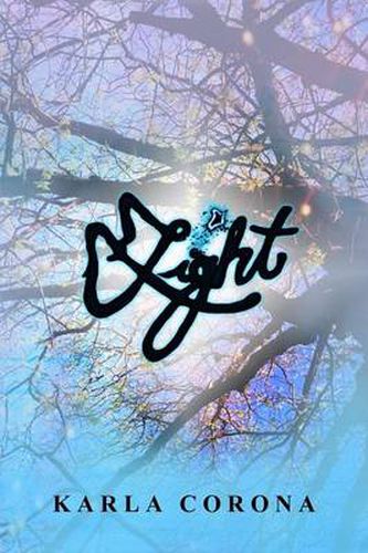 Cover image for Light