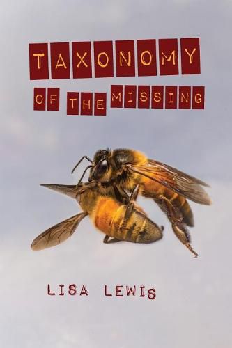 Cover image for Taxonomy of the Missing