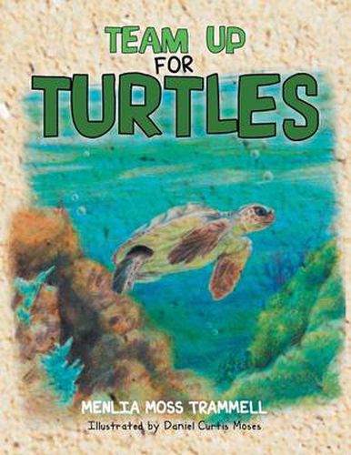 Cover image for Team Up for Turtles