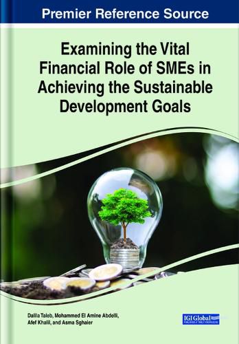 Cover image for Examining the Vital Financial Role of SMEs in Achieving the Sustainable Development Goals